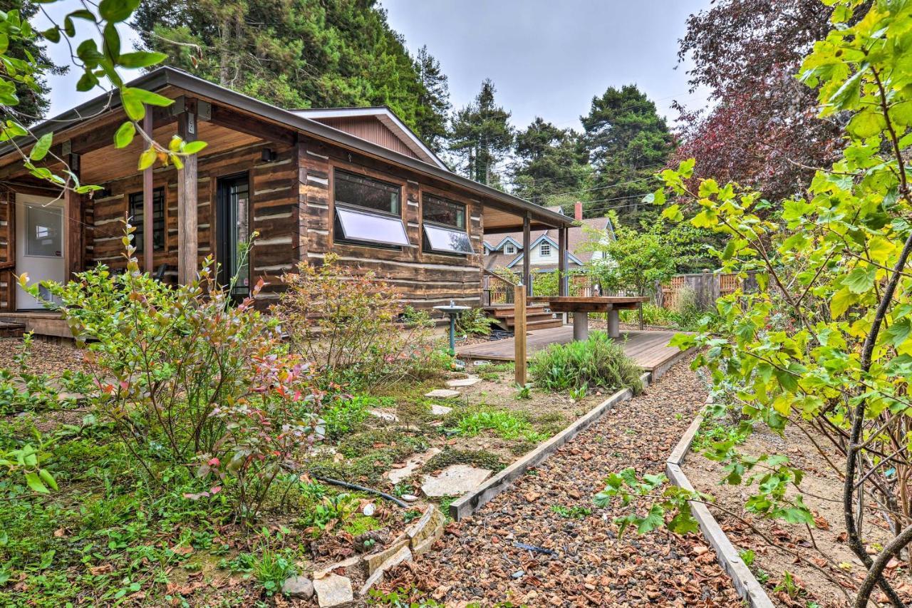 Quiet And Cozy Eureka Home Near Sequoia Park And Zoo! Zewnętrze zdjęcie