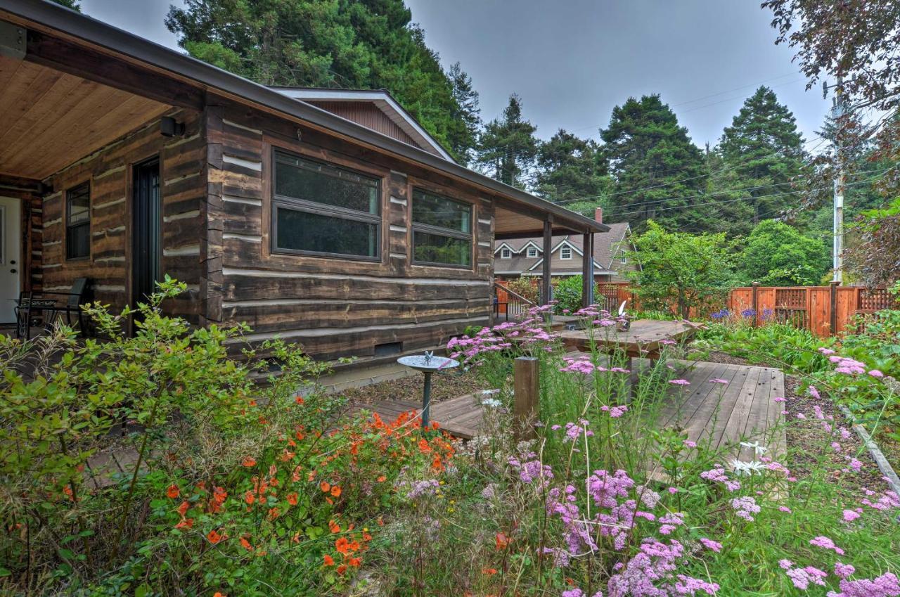 Quiet And Cozy Eureka Home Near Sequoia Park And Zoo! Zewnętrze zdjęcie